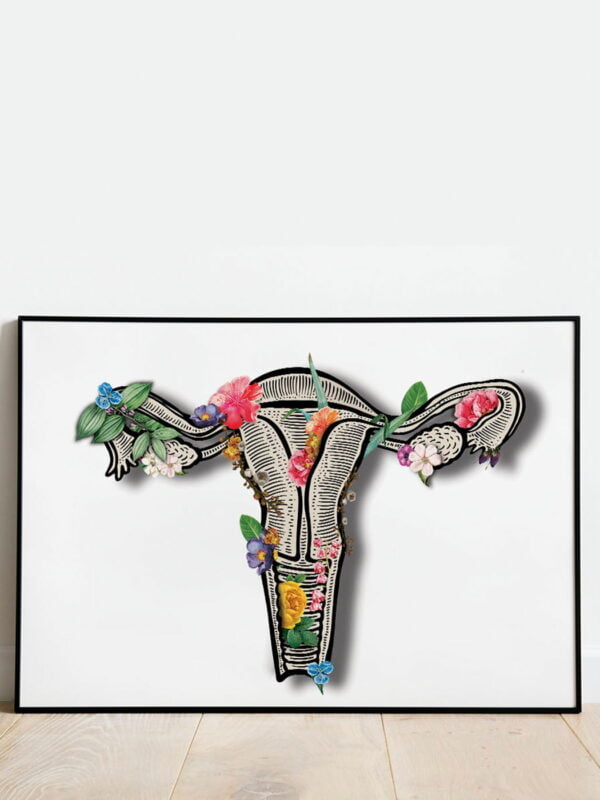 jajniki obraz anatomiczny