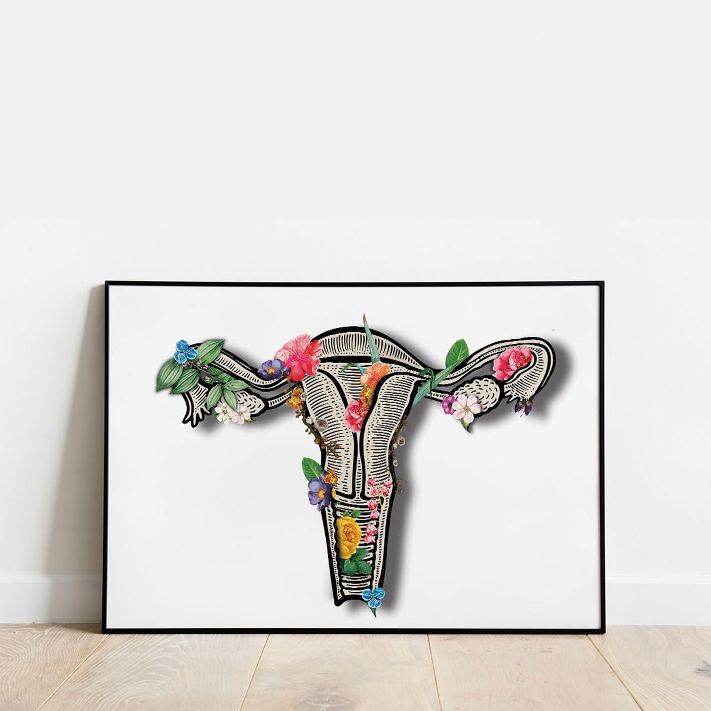 jajniki jajniki obraz anatomiczny