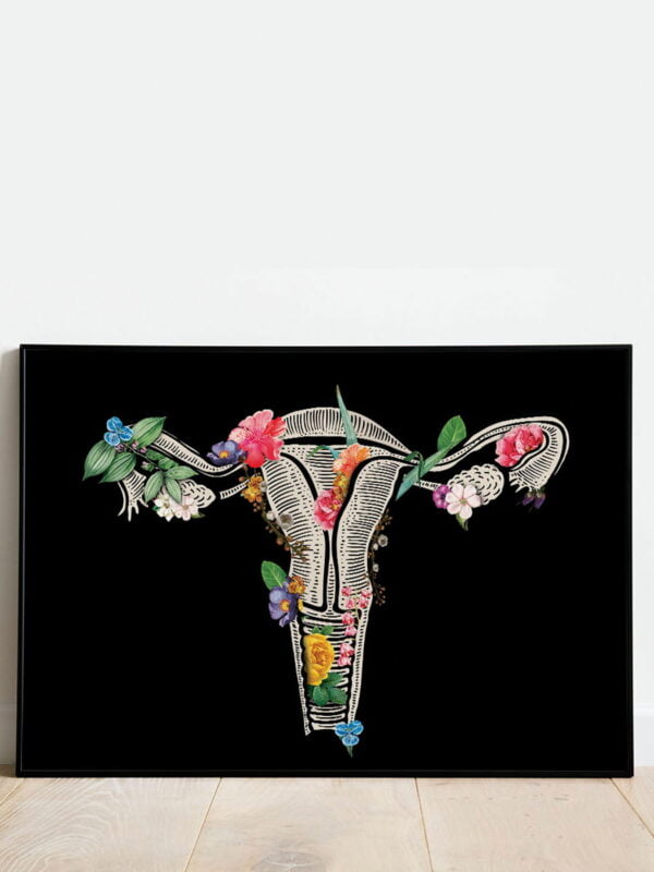 jajniki obraz anatomczny