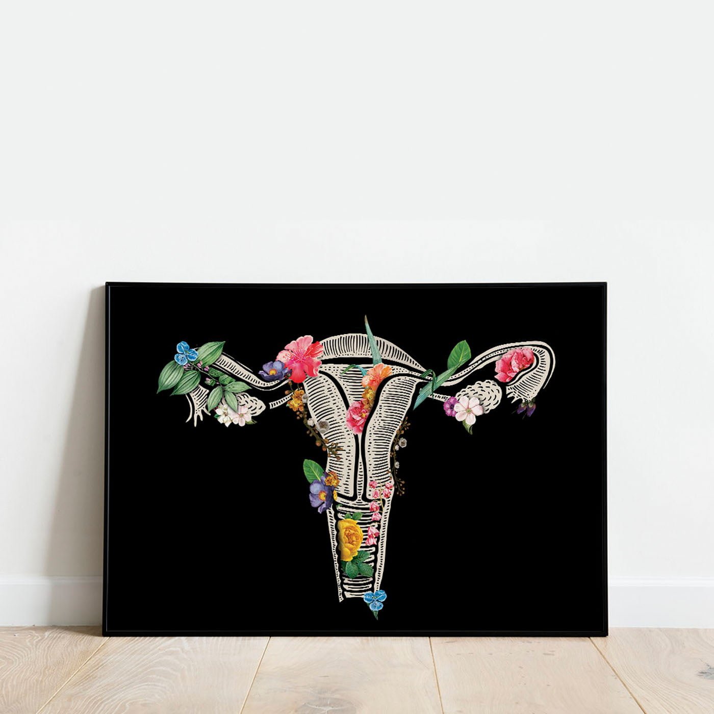 jajniki jajniki obraz anatomczny