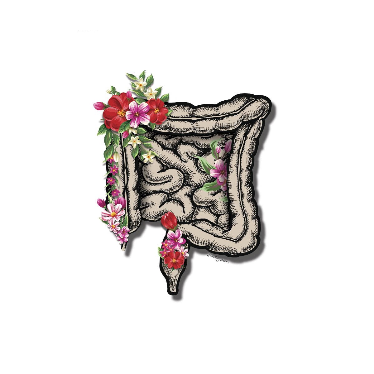 Photo frames mockup Grafika anatomiczna