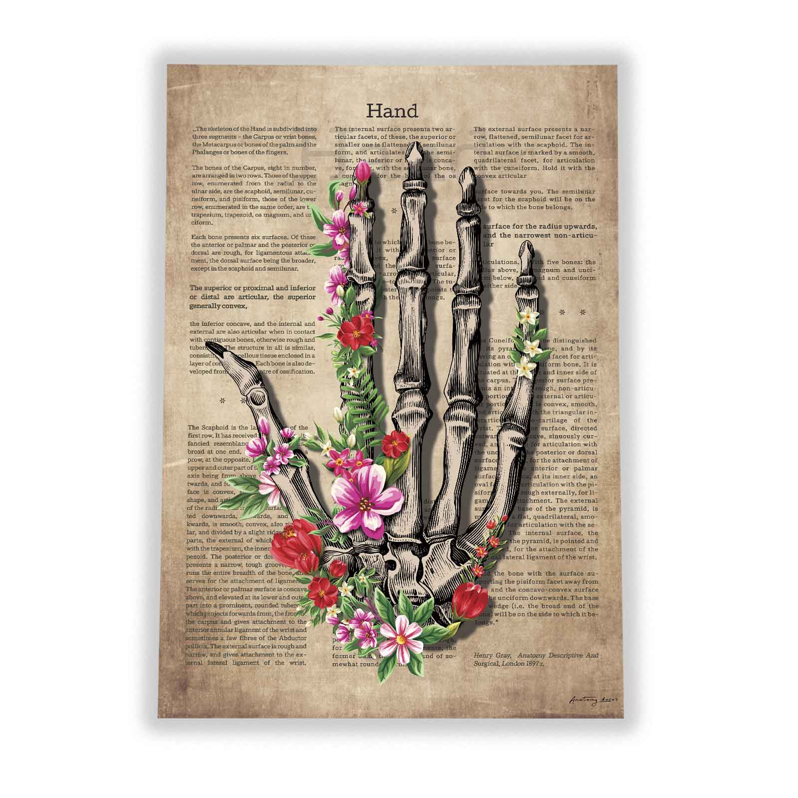 Photo frames mockup anatomia ręki