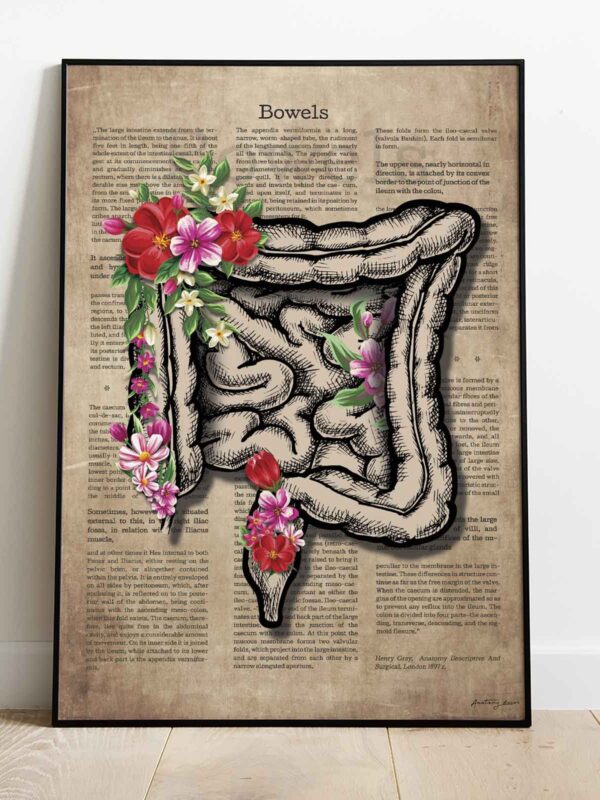 anatomia układu pokarmowego