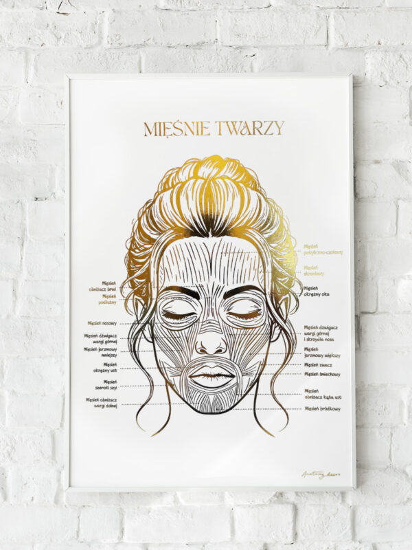 mięśnie twarzy