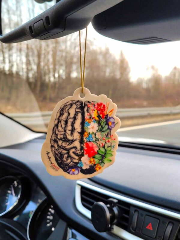 Zapach do samochodu anatomia