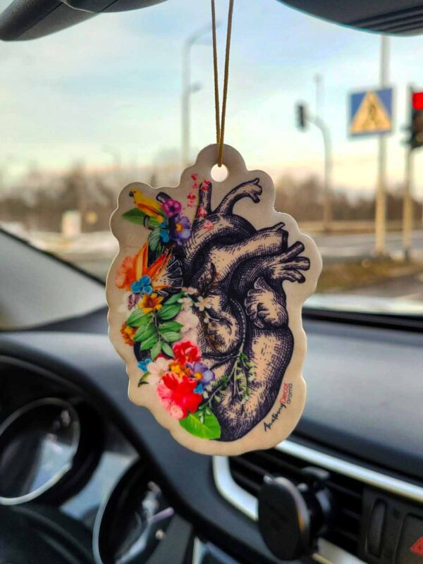 Zapach samochodowy anatomia