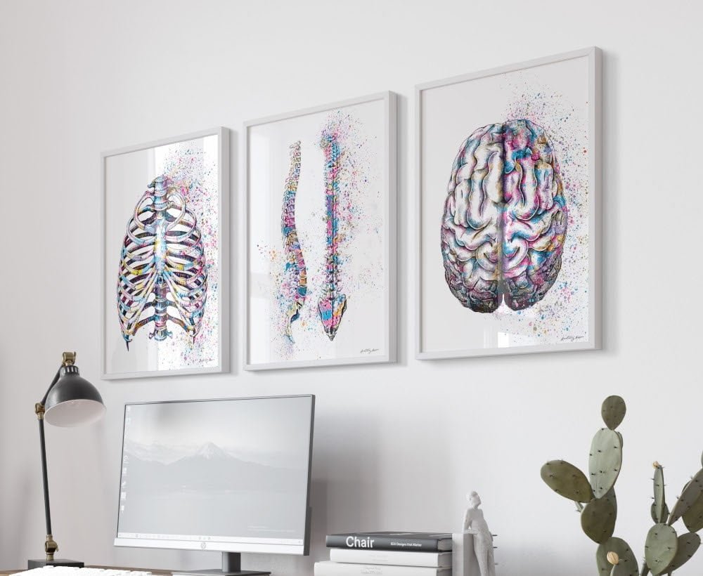 kolorowe plakaty anatomiczne, grafiki anatomiczne w stylu kolor