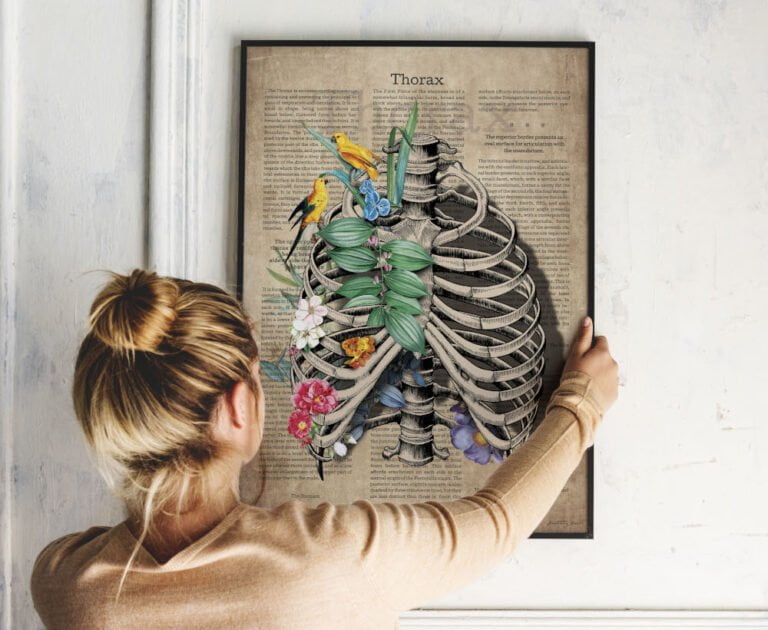 anatomy decor, plakaty anatomiczne z kwiatami, na tle kwiatów