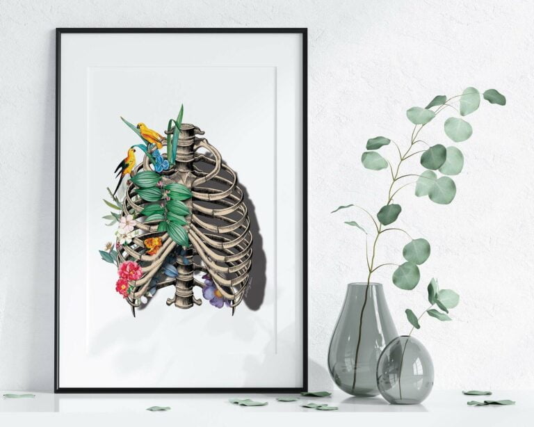 obrazy anatomiczne, grafiki anatomiczne, plakaty