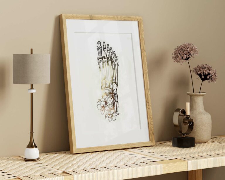 złote obrazy anatomiczne, anatomia