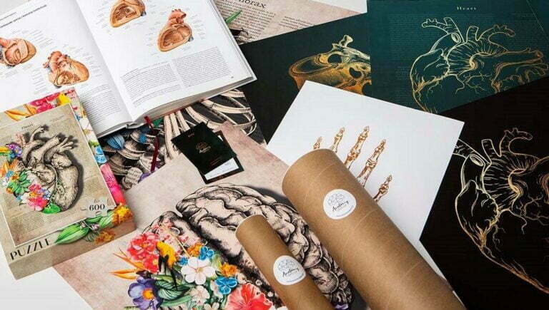 anatomy decor, piękno anatomi w obrazach i nie tylko