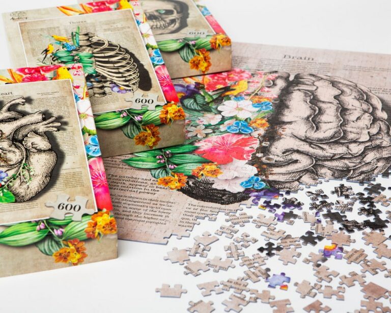 puzzle anatomiczne, puzzle z anatomią
