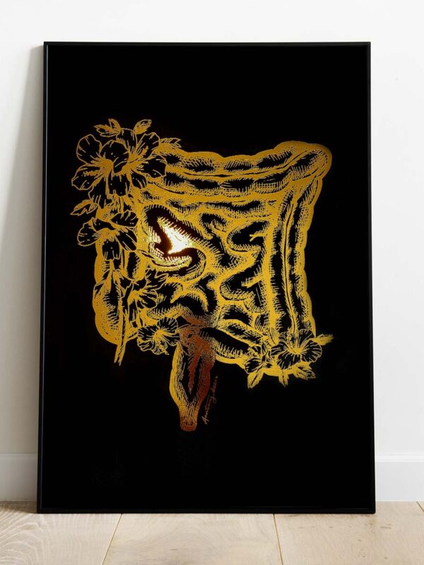 Anatomia układu pokarmowego