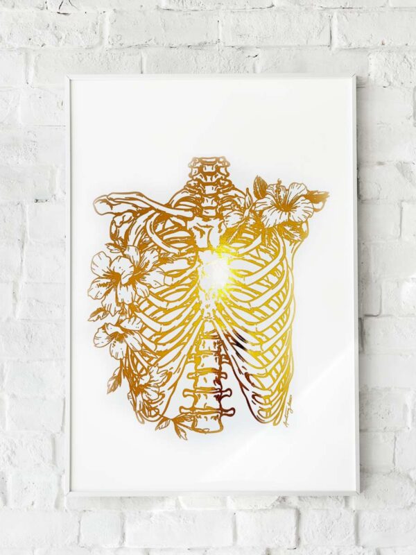 anatomia klatki piersiowej