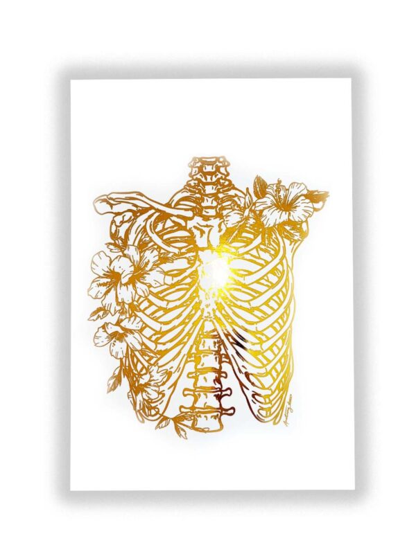 budowa klatki piersiowej