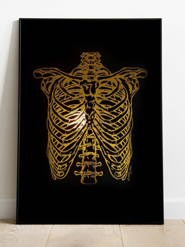 Anatomia klatki piersiowe