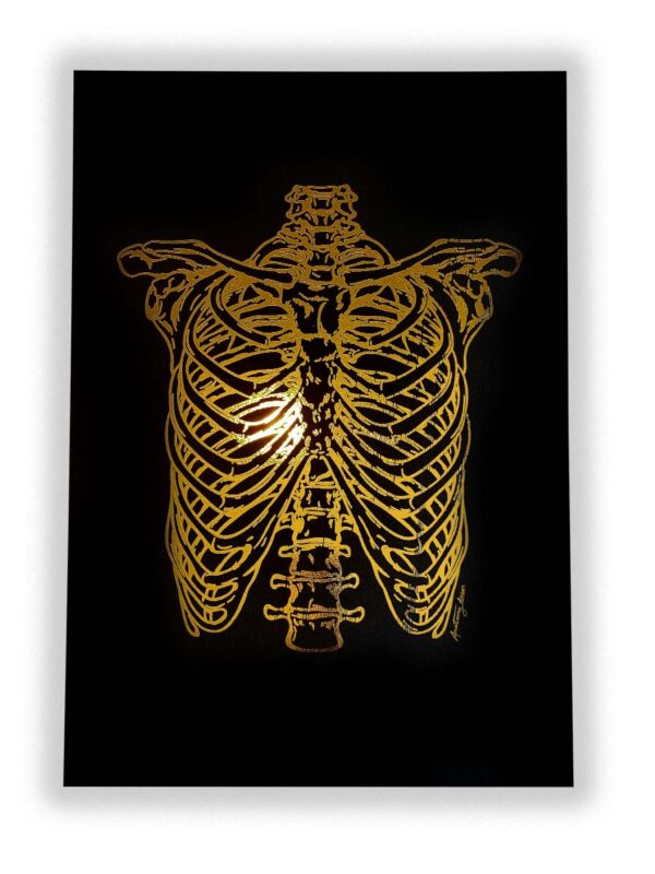 Klatka piersiowa anatomia