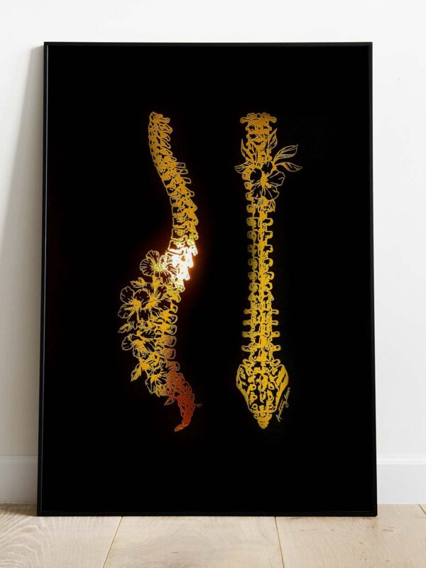 Anatomia kręgosłupa