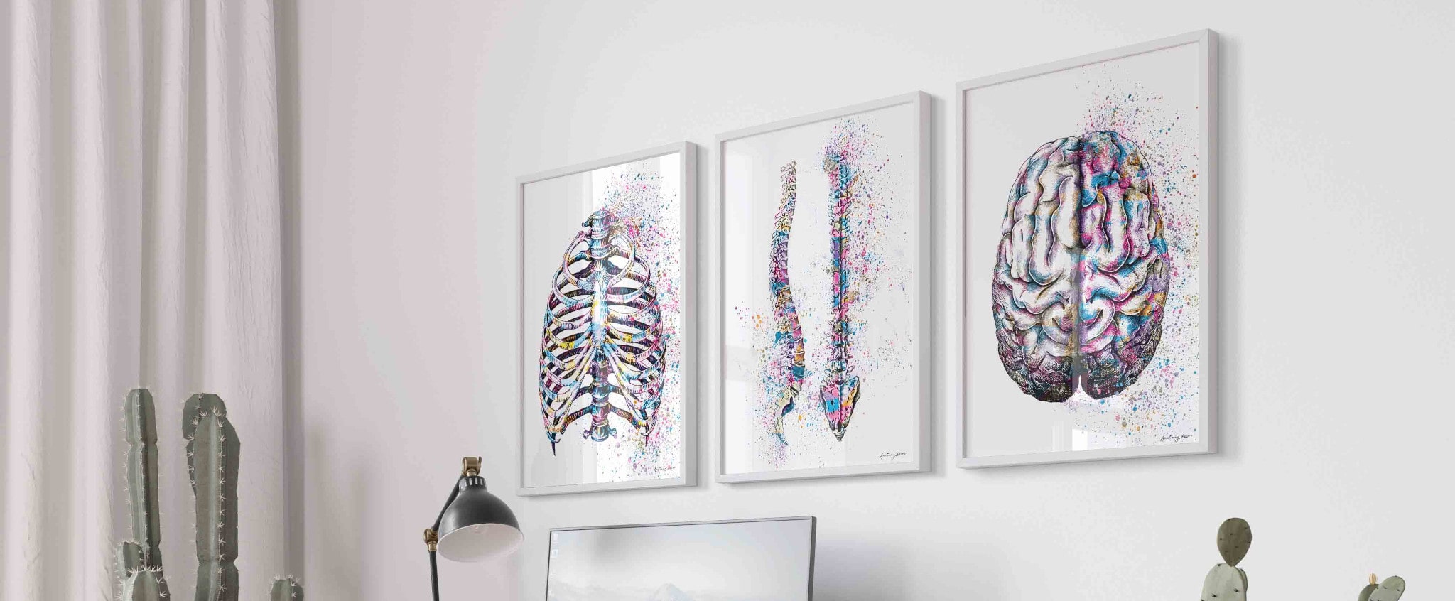kolorowe plakaty anatomiczne anatomydecor