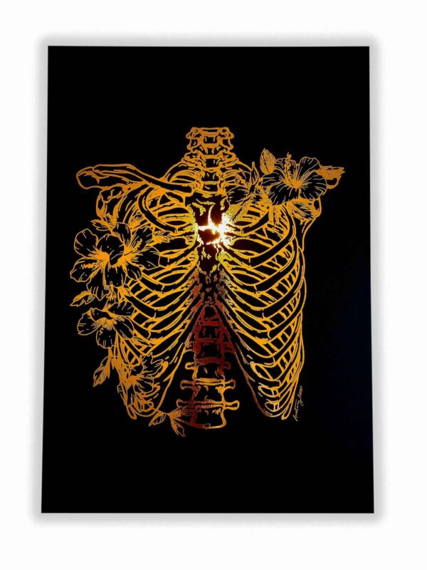 Klatka piersiowa anatomia