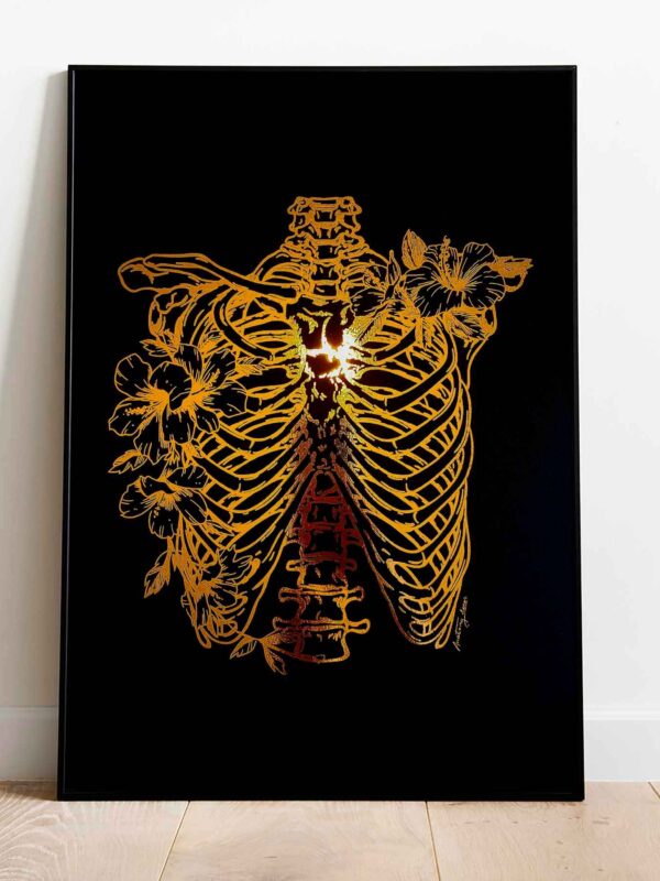 Anatomia klatki piersiowej