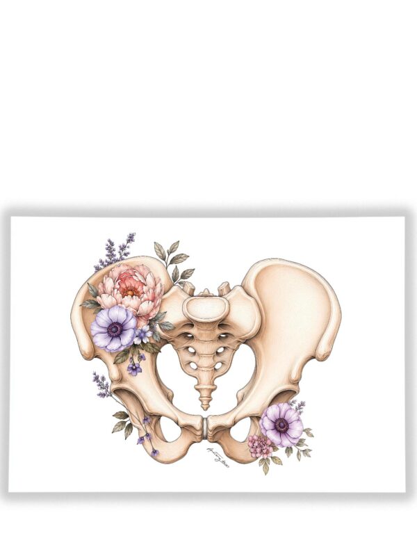 Plakat Miednica z Kwiatami – anatomiczna ilustracja miednicy z kwiatami na białym tle