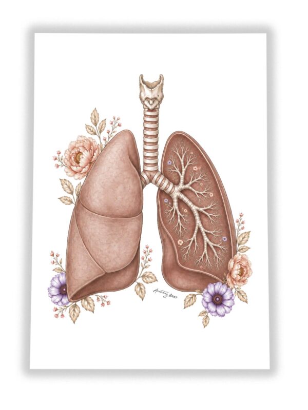 Plakat Płuca z Kwiatami – anatomiczna ilustracja płuc z kwiatami na białym tle