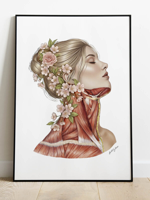 plakat mięśnie szyi