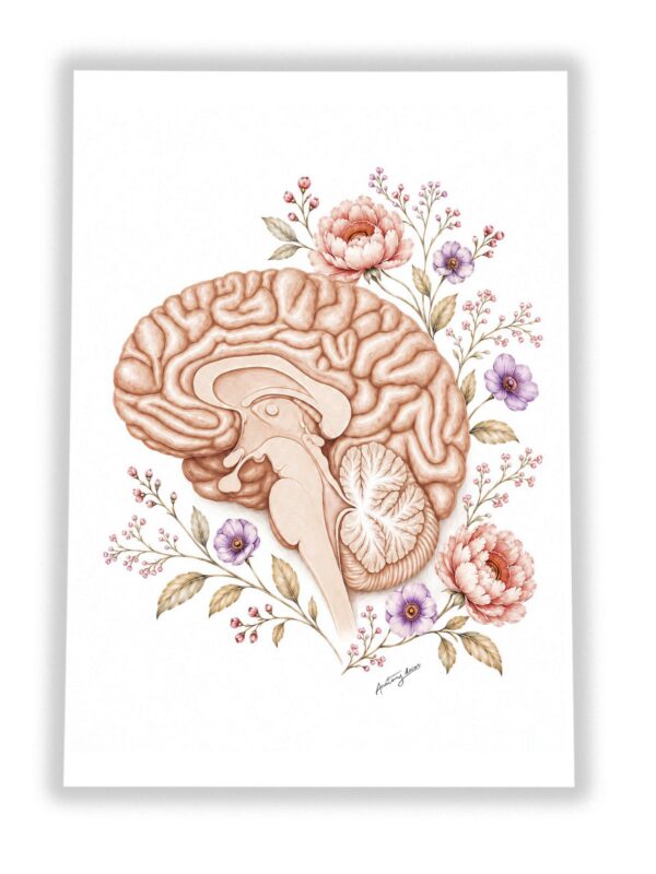 Plakat Mózg z Kwiatami – anatomiczny przekrój mózgu z kwiatami na białym tle