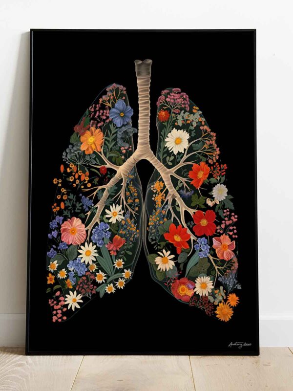 plakat płuca anatomiczne