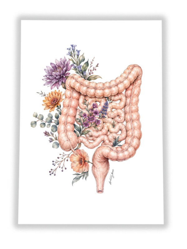 Plakat Anatomiczny Jelita z Kwiatami na Białym Tle