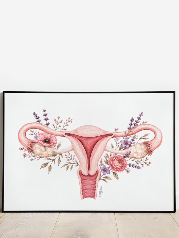 Plakat anatomiczny macicy i jajników z kwiatami na białym tle