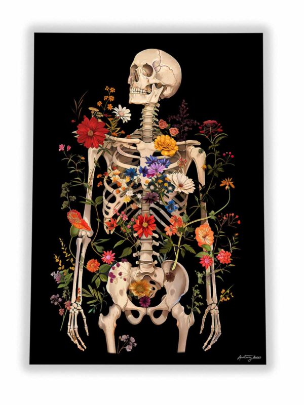 anatomia szkieletu człowieka