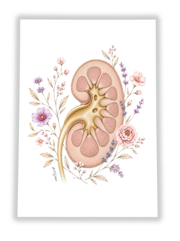 Plakat nerka