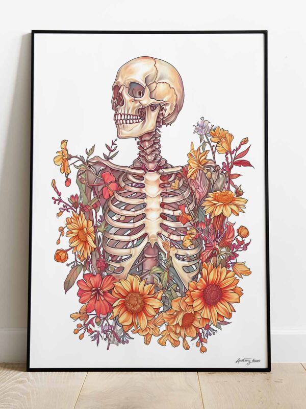 plakat szkielet człowieka