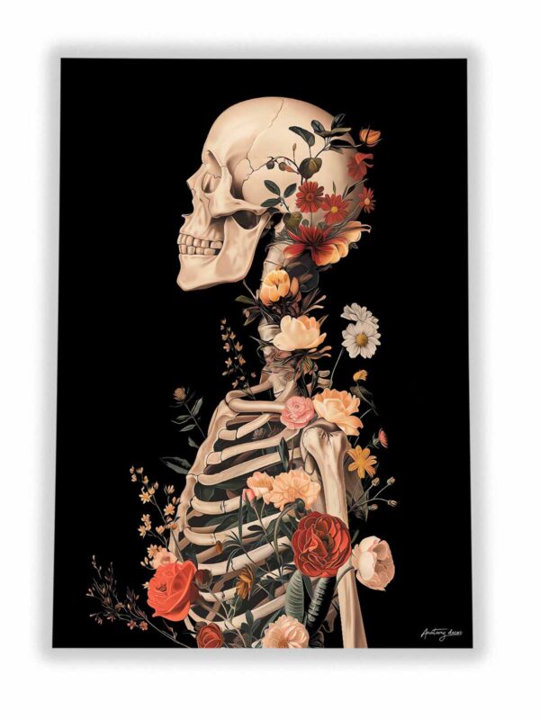 plakat szkielet człowieka