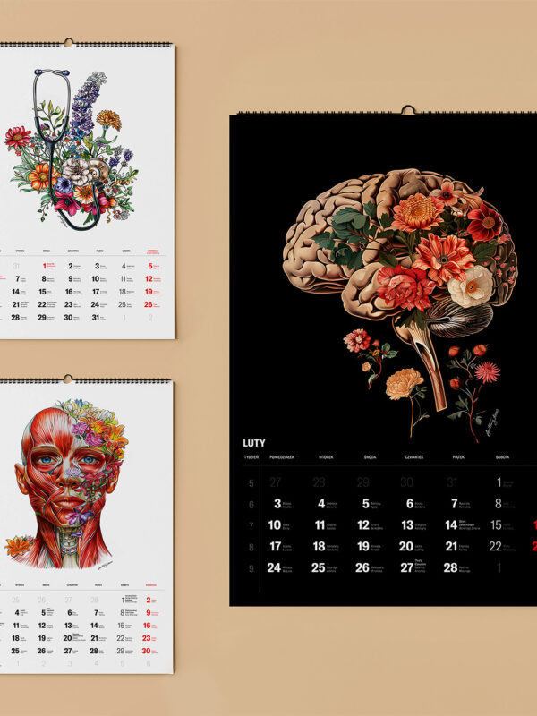 kalendarz anatomiczny