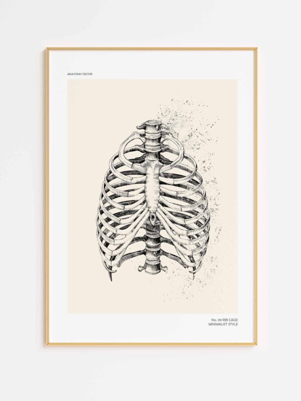 plakat klatka piersiowa