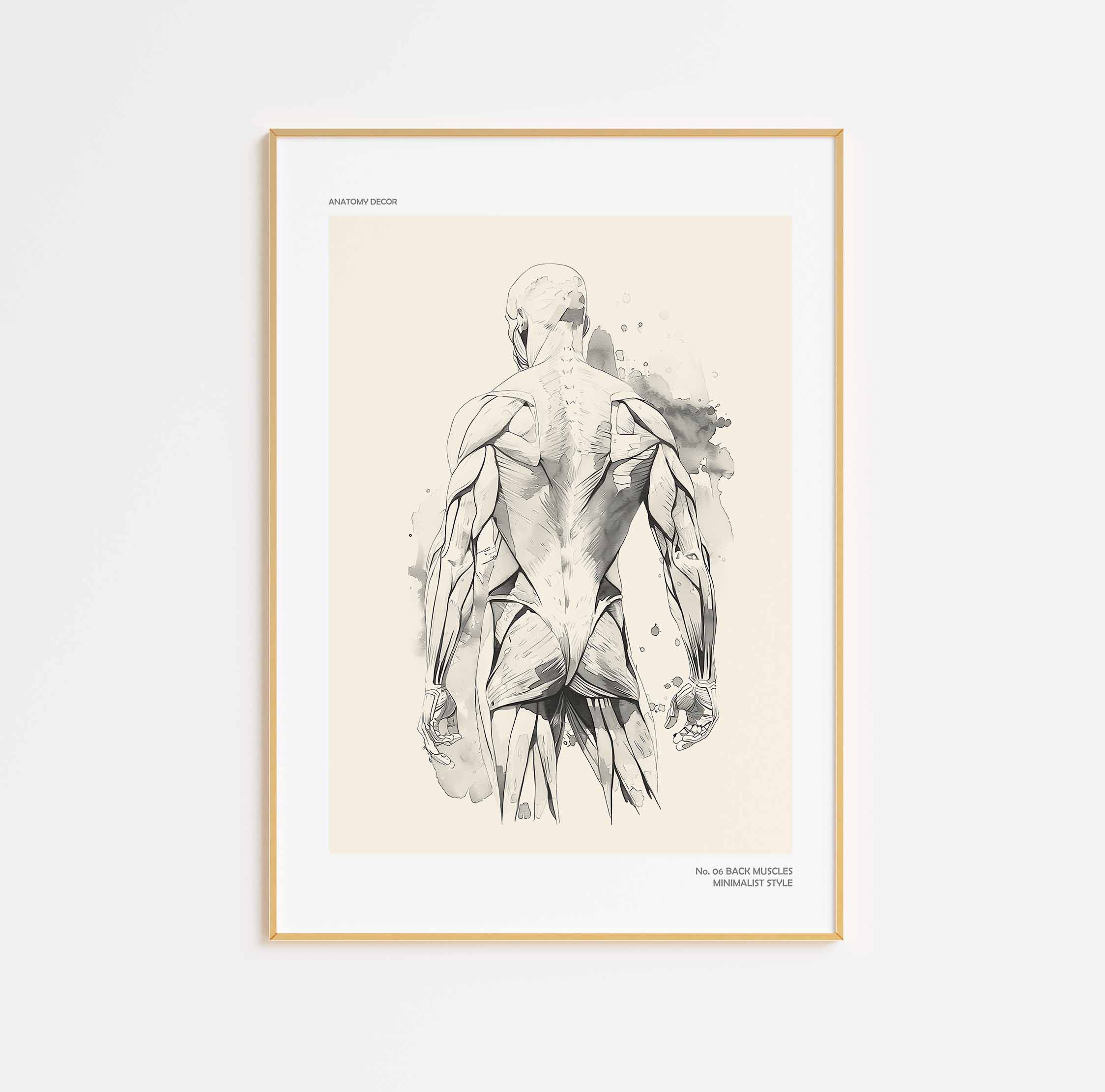 plakat minimalistyczny mięśnie pleców plakat mięśnie człowieka