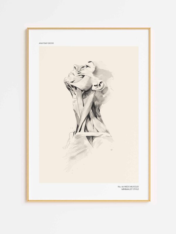 plakat mięśnie szyi