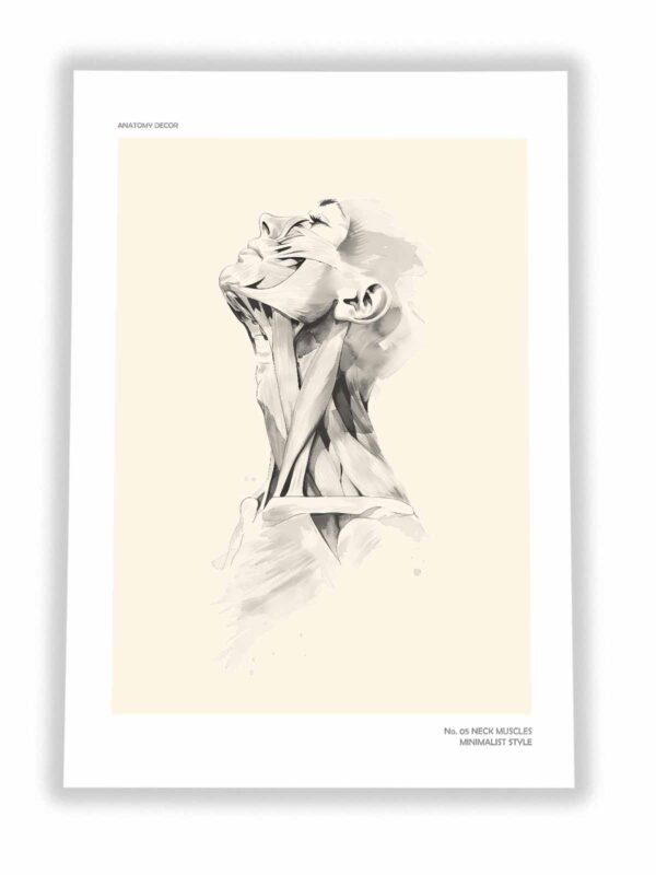 plakat mięśni szyi