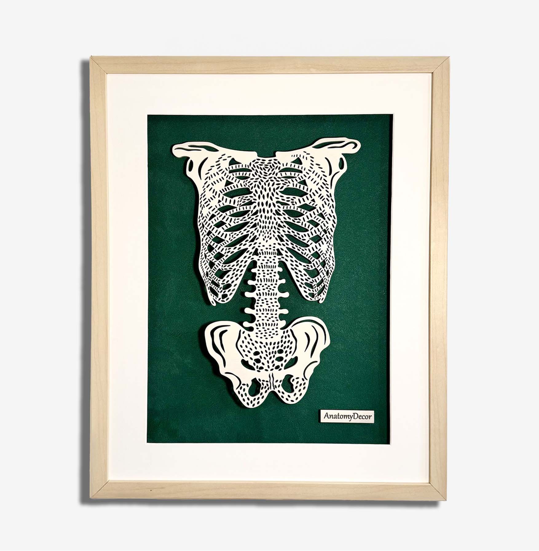 obraz anatomia klatki piersiowej w drewnie jasna budowa klatki piersiowej