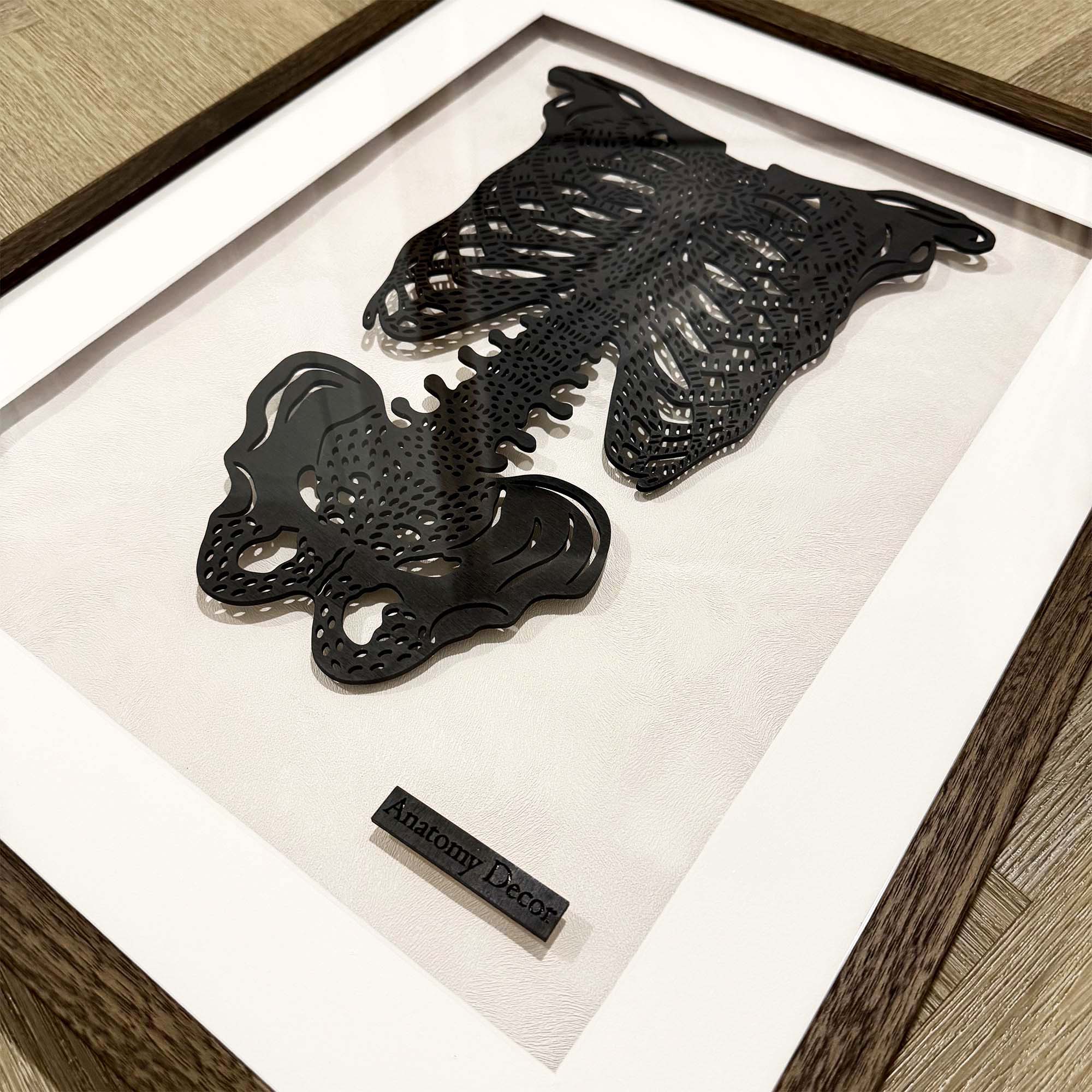 Anatomia klatki obraz anatomia miednicy