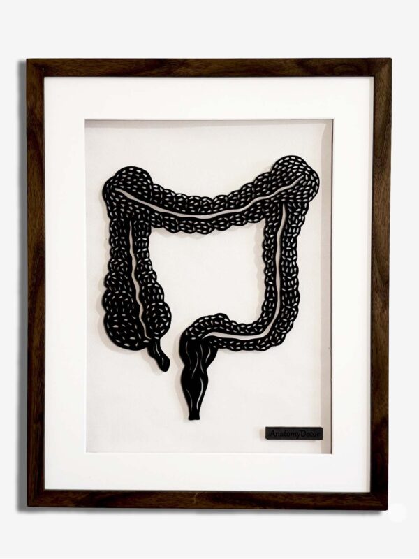 prezent dla gastrologa