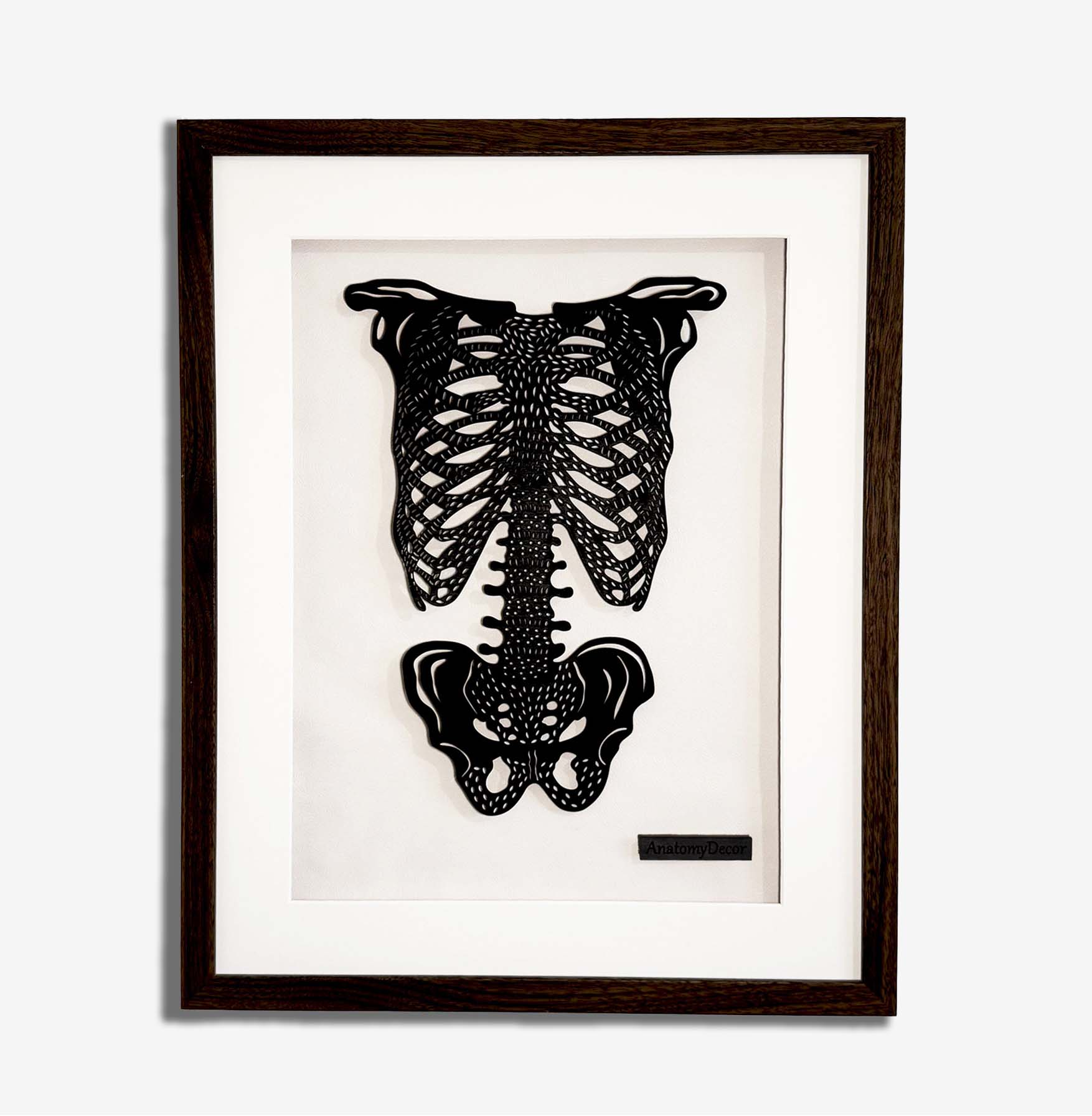 klatka piersiowa w drewnie czarna anatomia klatki piersiowej