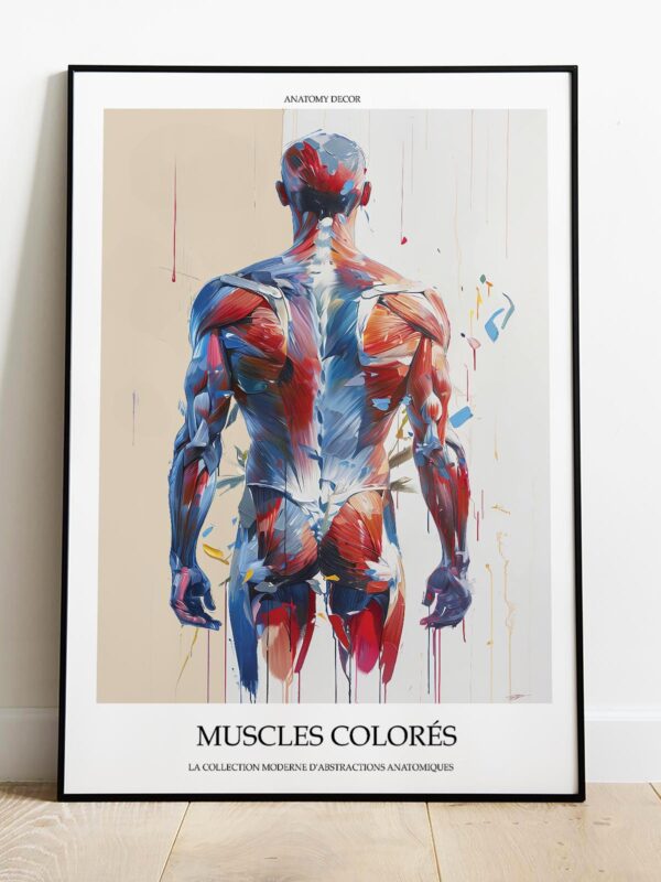 mięśnie człowieka