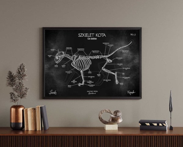 Plakaty anatomiczne zwierząt - Anatomy Decor. Anatomia zwierząt - plakaty i obrazy anatomiczne