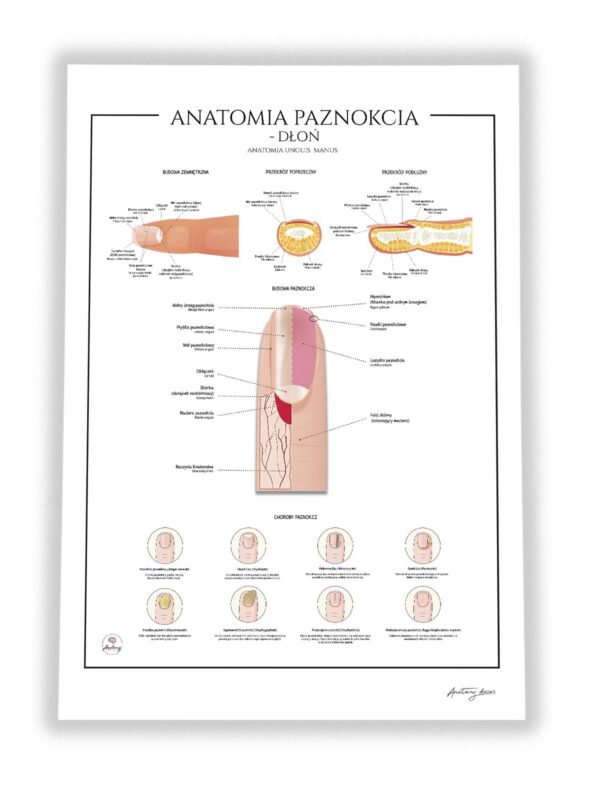 plakat dla kosmetyczki manicure
