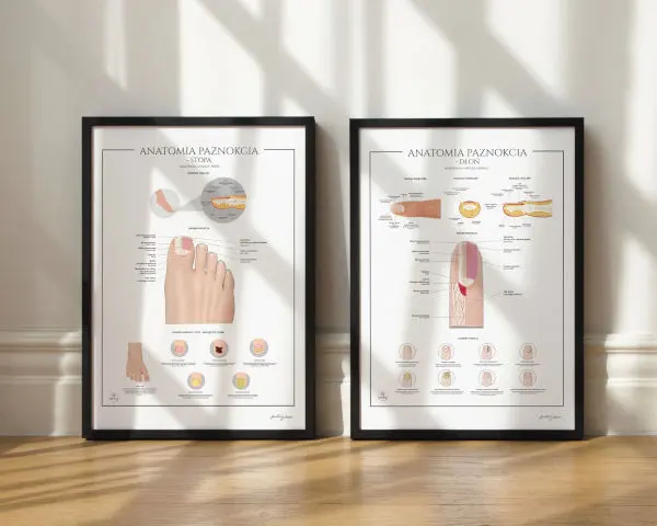 Plakaty Beauty anatomiczne, piękno na plakatach anatomicznych