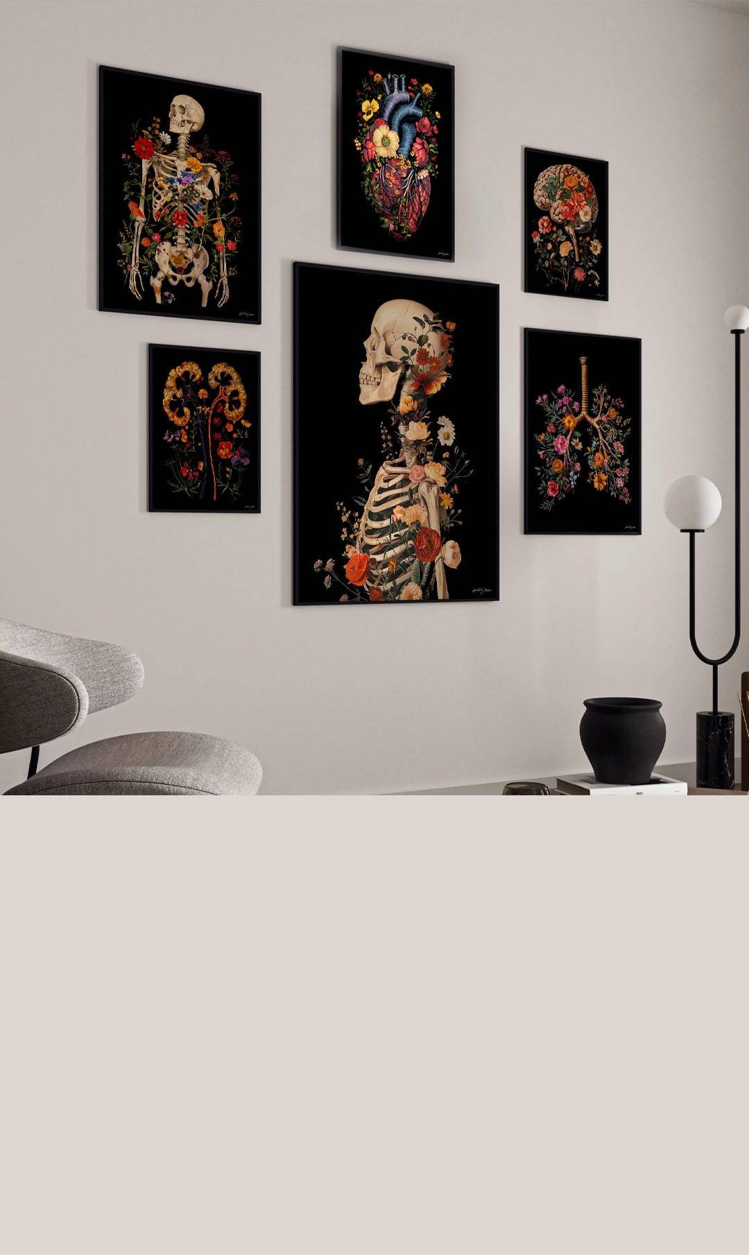 plakaty anatomiczne grafiki anatomiczne anatomia